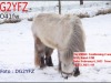 DG2YFZ