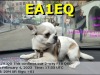 EA1EQ