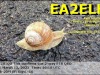 EA2ELH