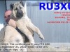 RU3XU