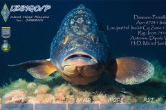 activty-2012-640x402