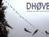 DH0VB