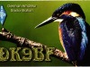 DK9BF