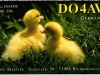 DO4AV