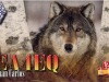 1_EA4EQ