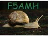 F5AMH