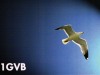 I1GVB