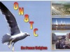 1_ON8TC